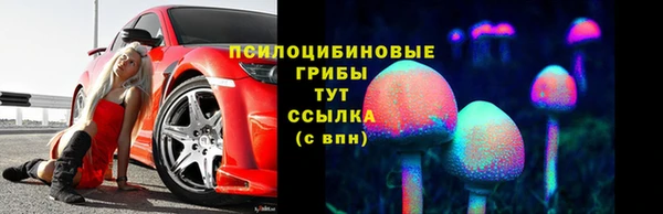 дурь Елабуга