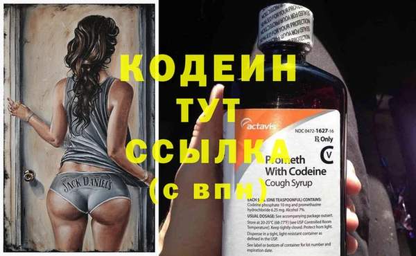дурь Елабуга