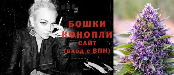 дурь Елабуга
