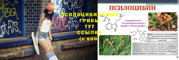 прущая мука Ельня
