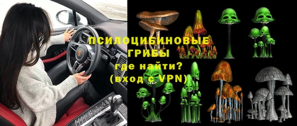 дурь Елабуга