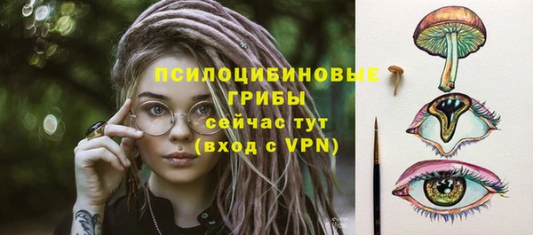 дурь Елабуга